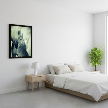 Abstract Japanese Iris Delight Nature Photo Minimal Style Wall Art