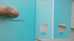 Tiffany Blue Paint Suggestions