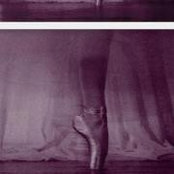 Beverly Riley's photo