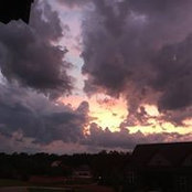 Foto von Melissa Rose