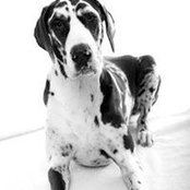 Christy Vigue's photo