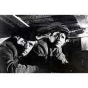 Matthew Shafter's photo
