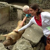 Kathleen Shults's photo