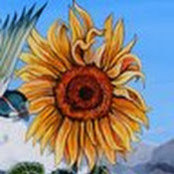 Jenni Connolly's photo