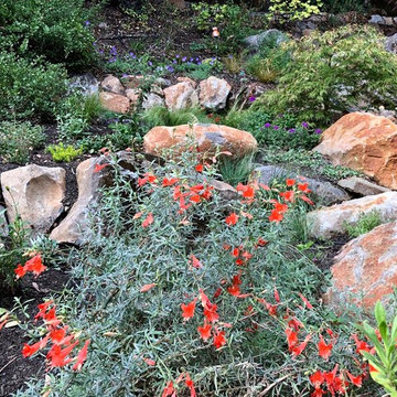 Waterfall Hillside Garden