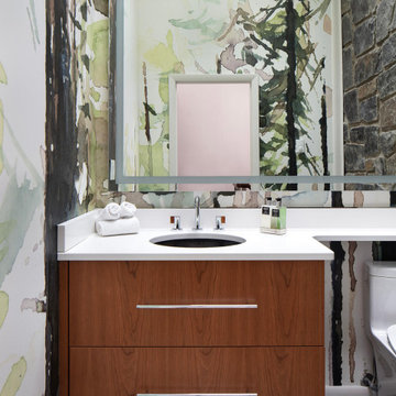Richmond Mid-Century Modern Renovation