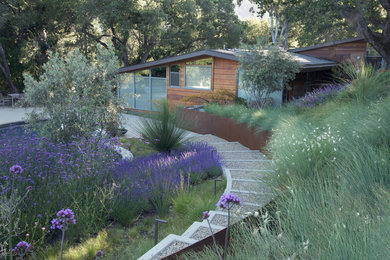 Photo of a hillside decomposed granite landscaping in San Francisco.