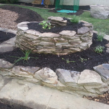 Backyard Edible Garden