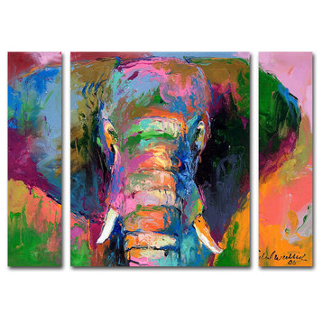 "Elephant 2" Multi-Panel Canvas Art Set by Richard Wallich