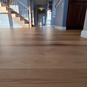 Hickory 1