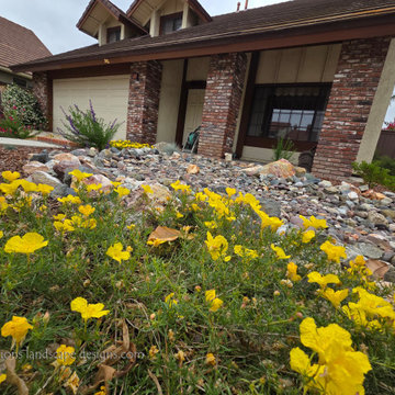 Irvine Turf Rebate Front Yard