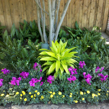 Front Landcape Designs