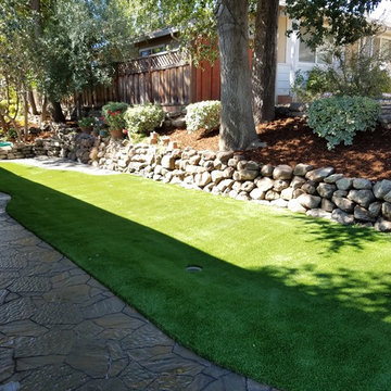Drought Tolerant