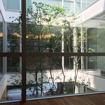 SAKURA SAKURA SAKURA HOUSE
