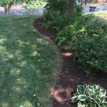 Landscaping Projects