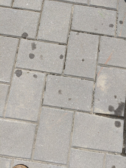 Patio pavers issuein between