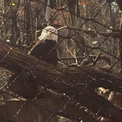 Jody Bennett Seward's photo