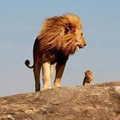 Jonathan Fong's photo