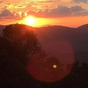 Dawn Scott's photo