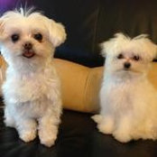 Foto de Thuy La