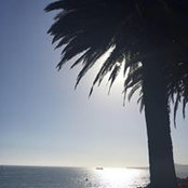 Nikki Hernandez's photo