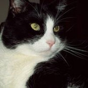 Meghan Lempa's photo