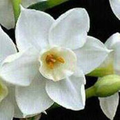 Doha Mohammad's photo