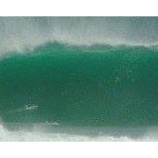 Nick Ortcoski's photo
