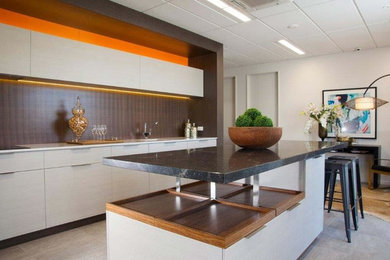 Modern kitchen in Christchurch.