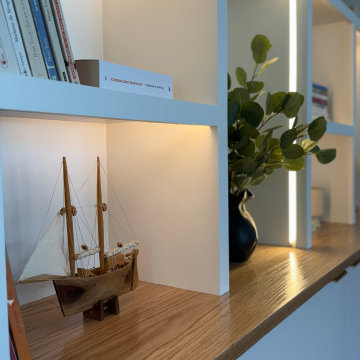 Modern Custom Built-In Bookcase with Integrated Lighting