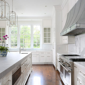 Waukegan Road Residence
