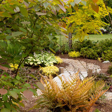 Landscape Ideas