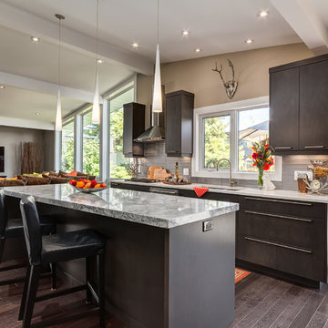 Modern Kitchen Renovation