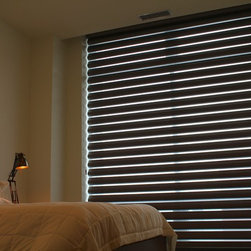 Hunter Douglas Pirouettes - Chicago - Window Treatments