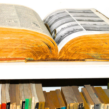 Adonis Collection | Library & Decor