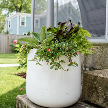 Exterior Ideas