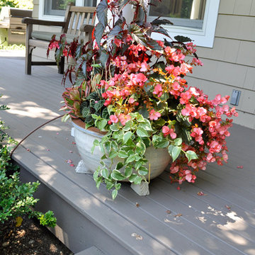 Drip Irrigation Systems