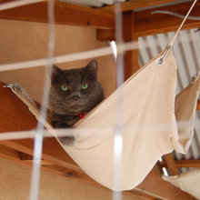Cat Stuff