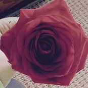 Katia Mambro's photo