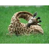 Stacia Bourbeau's photo