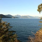 David Xu's photo