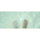 Jemina Haro's photo