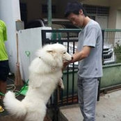 Tommy Surya's photo