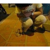 Andrea Oey's photo