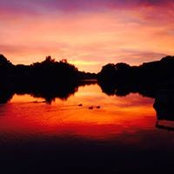 Ian Nielsen's photo