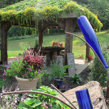 LIVE GREEN ROOF