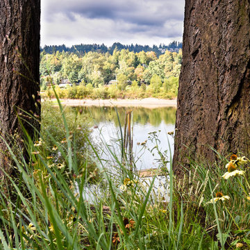 Willamette River View