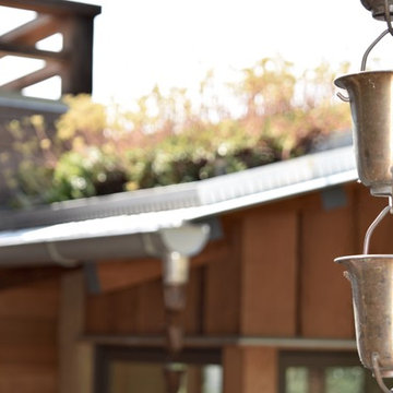 Living Roof