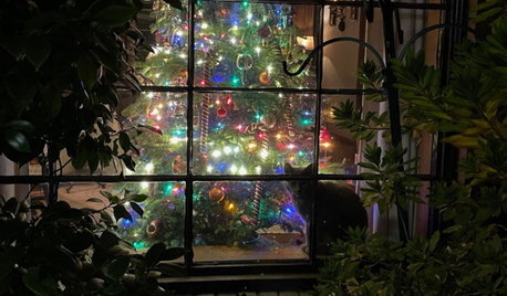 Houzz Call: Show Off Your Christmas Tree!