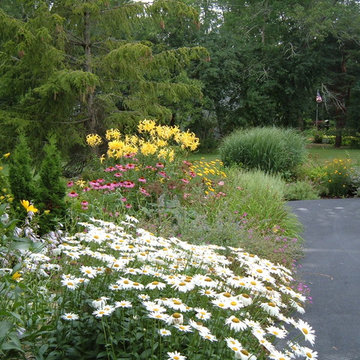 Deep, perennial border along a driveway